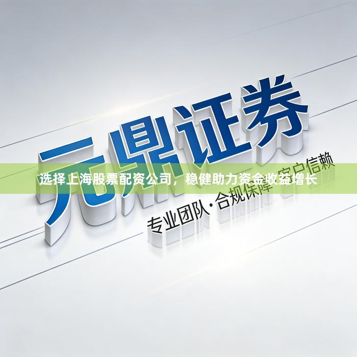 选择上海股票配资公司，稳健助力资金收益增长